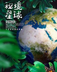 欢乐京津冀 一起过大年:张园春节活动多 数字藏品首次发售